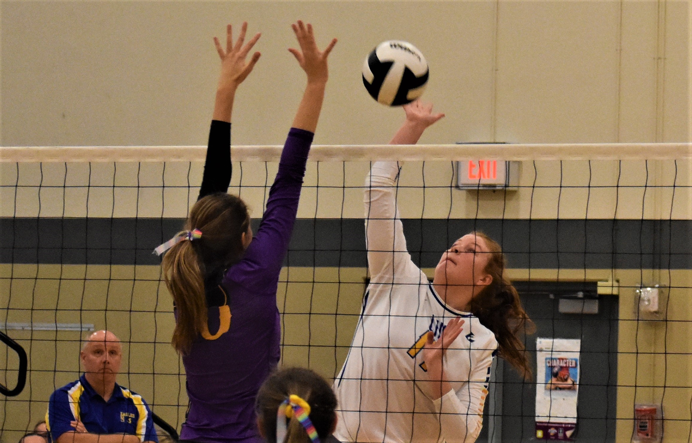 Volleyball Photo Gallery: Lincoln – Press Room Pass